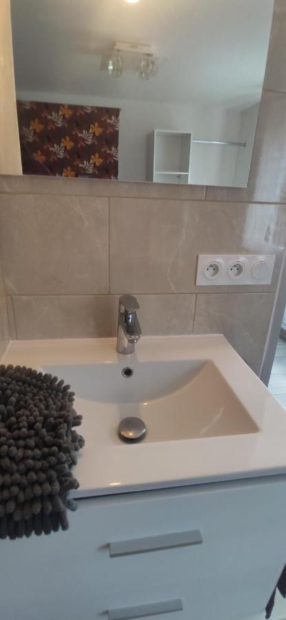 Petit Logement Sur Jardin Apartment Saint-Herblain Luaran gambar